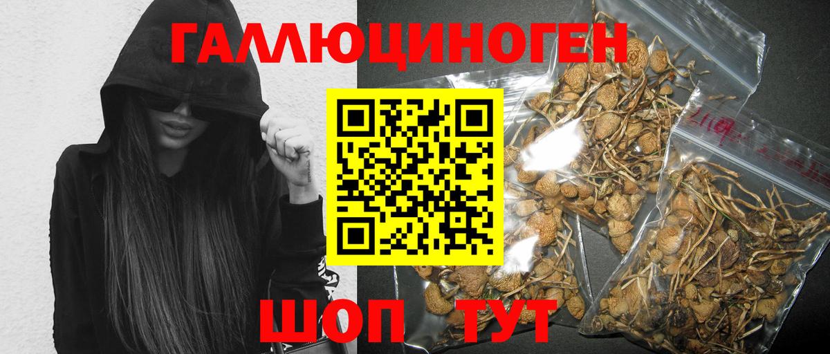 Галлюциногенные грибы MAGIC MUSHROOMS Заволжье